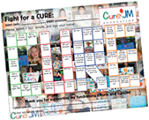 Cure JM Sponsor Sheet