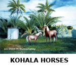 HAWAIIAN ART KOHALA HORSES