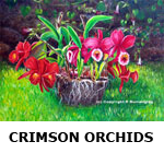 HAWAIIAN ART CRIMSON ORCHIDS